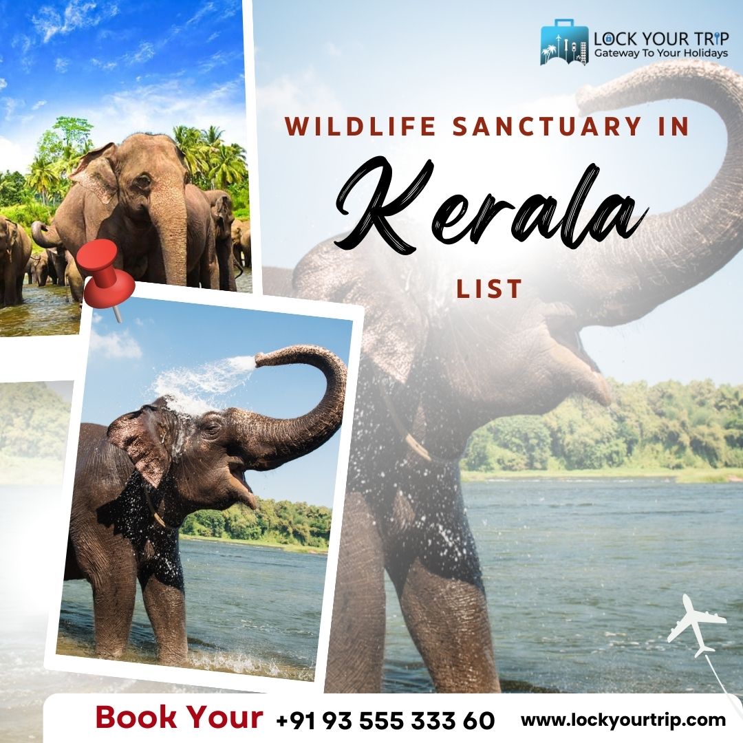 wildlife sanctuary in kerala list